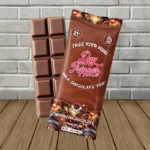 Day Tripper Chocolate Bars 10ct-Milk Chocolate -- 1ct Single Bar
