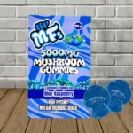 Lil Mfs Mega Heroic Dose Mushroom Gummies 5000mg-Blue Raspberry -- 2ct Pack