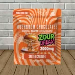Zour Dream XXXTRA Strength Mushroom Chocolates 2000mg-Salted Caramel