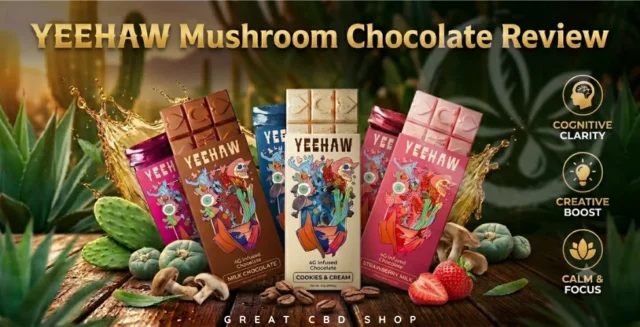 Yeehaw Mushroom Chocolate Bar Review 2026