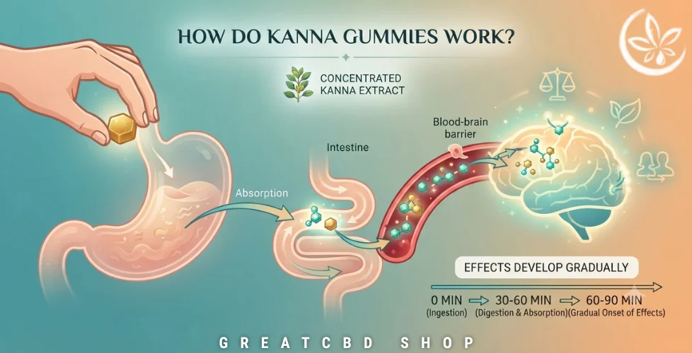 How Do Kanna Gummies Work