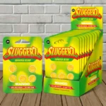 Sluggerz Euphoria Blend High Potency Alkaloids 250mg-Mango -- 5ct x 10 = 50 Tablets BULK CASE