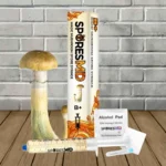 SporesMD B+ Mushroom Liquid Culture 10ml
