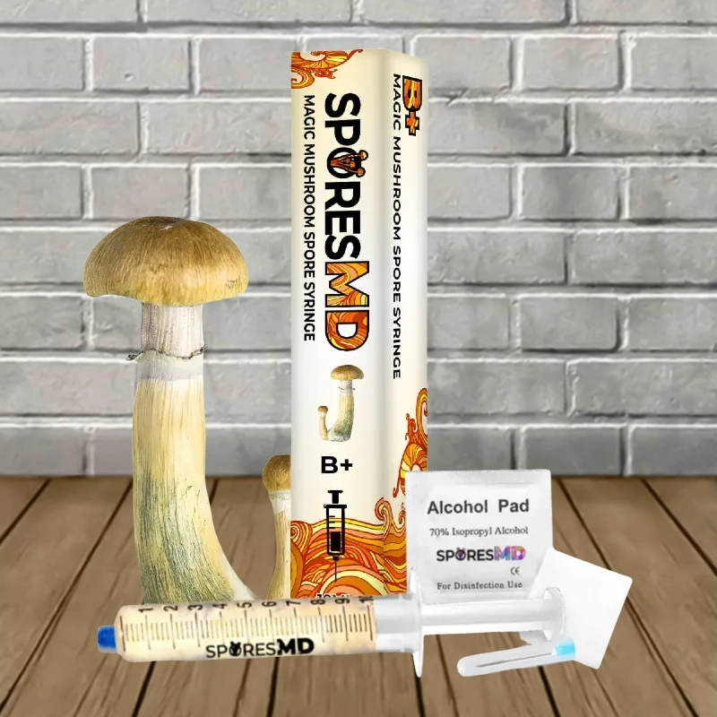 SporesMD B+ Mushroom Liquid Culture 10ml