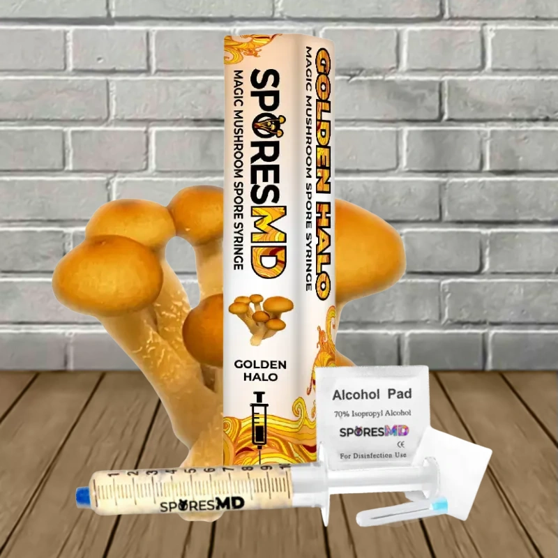 SporesMD Golden Halo Mushroom Liquid Culture 10ml