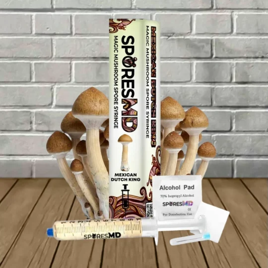SporesMD Mexican Dutch King Mushroom Liquid Culture 10ml