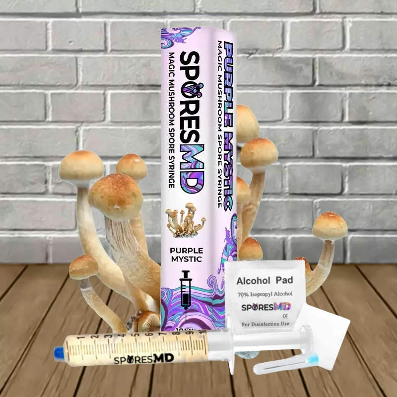 SporesMD Purple Mystic Mushroom Liquid Culture 10ml