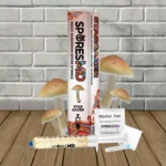 SporesMD Star Gazer Mushroom Liquid Culture 10ml