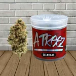 Atreez THCa Flower 1g - Gelato 45 -- Hybrid