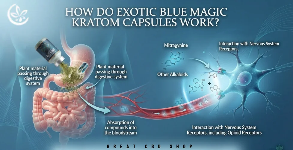 How Do Exotic Blue Magic Kratom Capsules Work