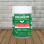 Meadow D9 Anytime Blend Gummies 250mg - Watermelon Patch